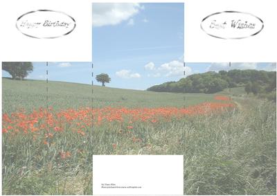 Poppyfield Castle Card Sheet 1