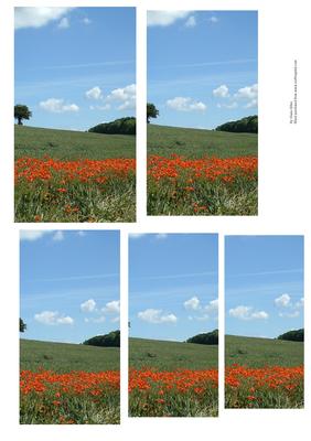 Poppyfield Castle Card Sheet 2