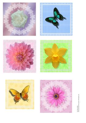 Butterfly and Floral Lace Edged Toppers