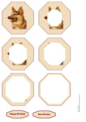 Alsatian Dog Inverted Pyramid Sheet