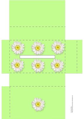 Pale Green Pocket Tissue Box with White Daisies