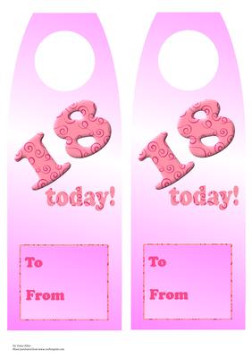 18 Today Bottle Gift Tag Pink