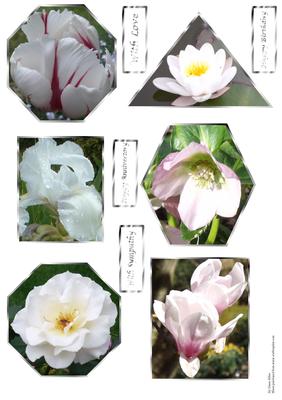Elegant Floral Toppers