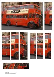 Red Routemaster Bus 3D Panel Sheet