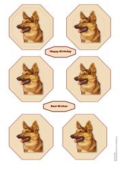 Alsation Dog Two in One Pyramid Sheet
