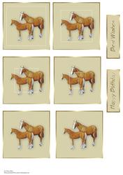 Horses Two in One Pyramid Sheet