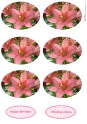 Pink Lily Two in One Pyramid Sheet