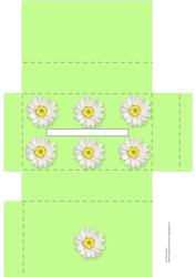 Pale Green Pocket Tissue Box with White Daisies
