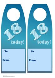 18 Today Bottle Gift Tag Blue