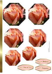 Peach Rosebud Octagonal Pyramid Sheet