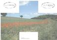Poppyfield Castle Card Sheet 1