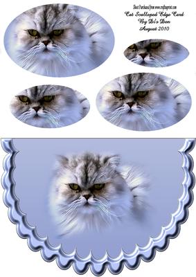 Cats Scalloped Edge Card