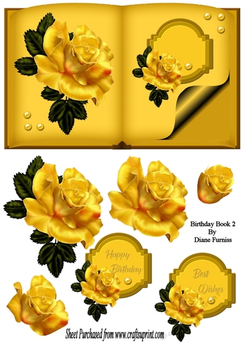 Birthday Book 2