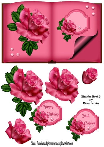 Birthday Book 3