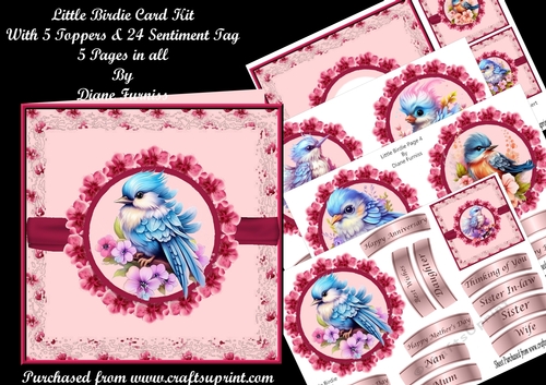 Little Birdie Card Kit