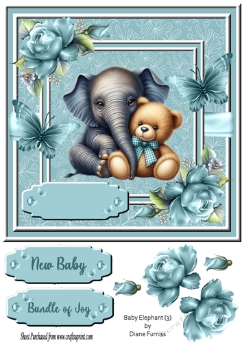 Baby Elephant (3)