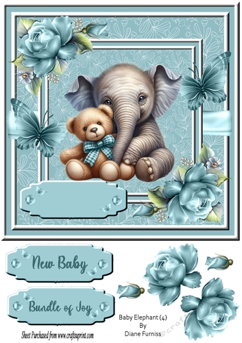 Baby Elephant (4)