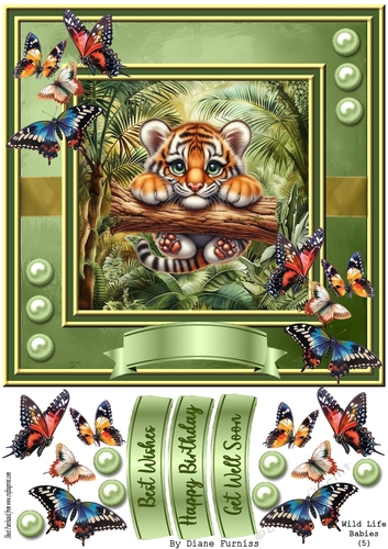 Wild Life Babies (5)