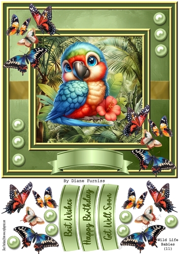 Wild Life Babies (11)