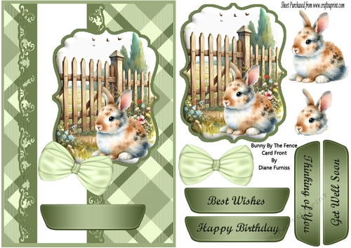 Bunny By The Fence Card Front