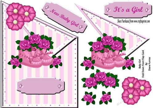Baby Girl Fold Down Front Flap Card