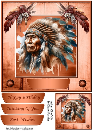 Indian Chief (5)