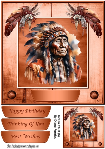 Indian Chief (6)