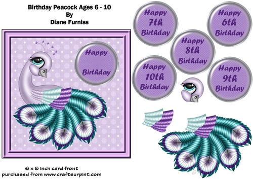 Birthday Peacock Age 6 - 10