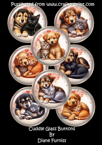 Cuddle Glass Buttons