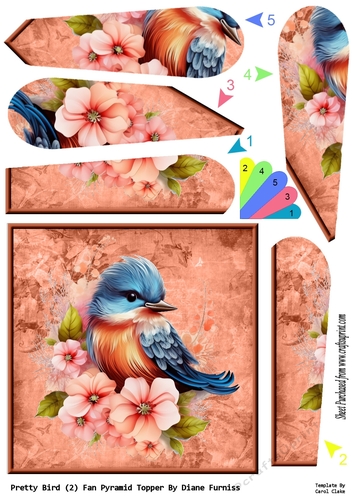 Pretty Bird (2) Fan Pyramid Topper