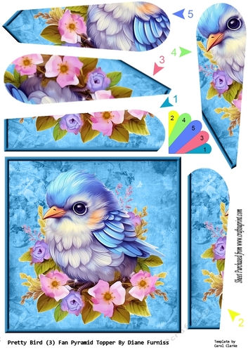Pretty Bird (3) Fan Pyramid Topper