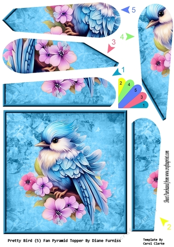 Pretty Bird (5) Fan Pyramid Topper