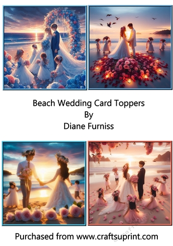 Beach Wedding Card Toppers