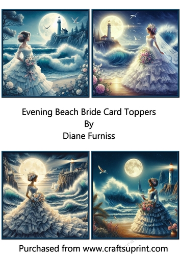 Evening Beach Bride Card Toppers