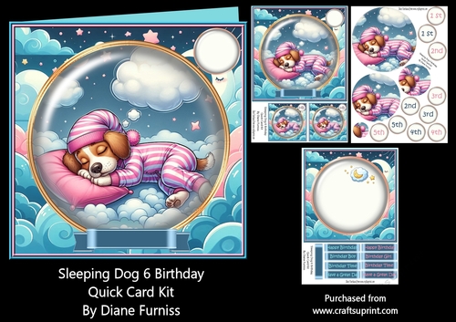 Sleeping Dog 6 Birthday Quick Card Kit