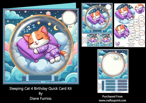 Sleeping Cat 4 Birthday Quick Card Kit