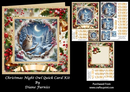 Christmas Night Owl Quick Card Kit