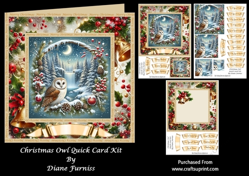 Christmas Owl Quick Card Kit