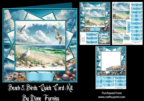 Beach & Birds