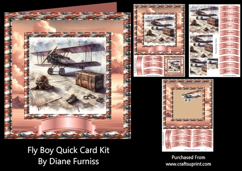 Fly Boy Quick Card Kit
