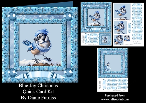 Blue Jay Christmas