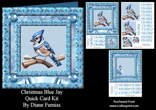 Christmas Blue Jay