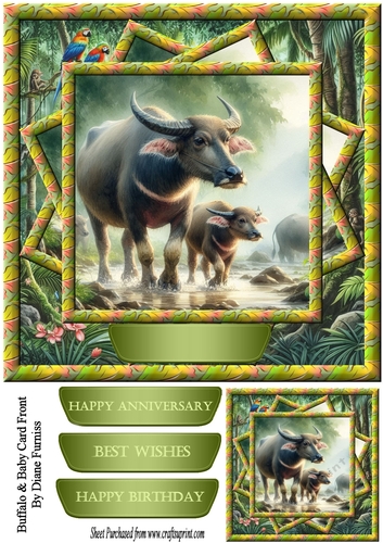 Buffalo & Baby Card Front