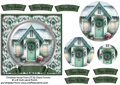 Christmas House Front (17)