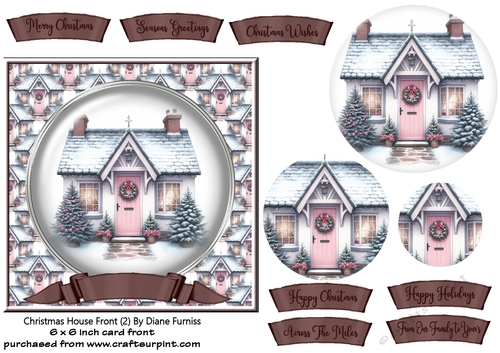 Christmas House Front (20)