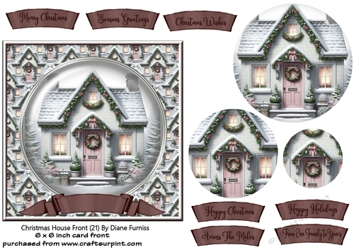 Christmas House Front (21)