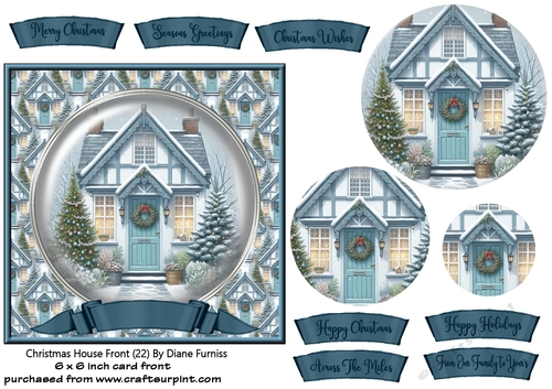 Christmas House Front (22)
