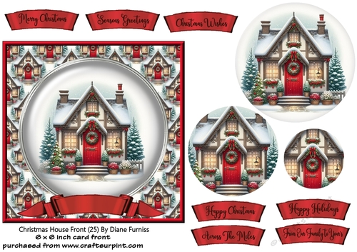 Christmas House Front (25)