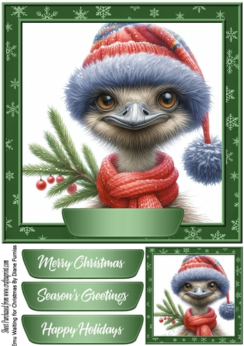 Emu waiting for Christmas