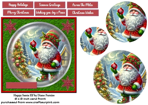 Happy Santa Elf